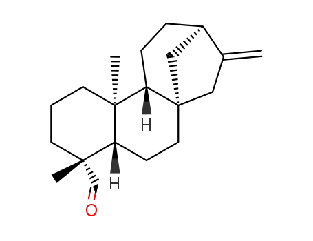 5282-24-6