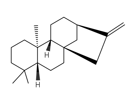 kaurene