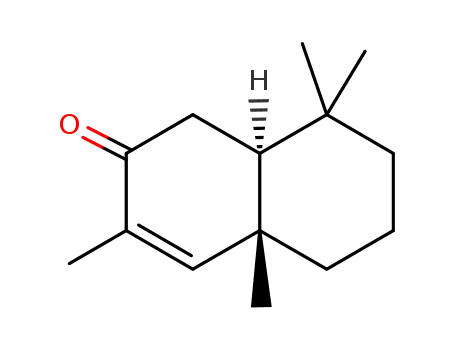 51020-10-1