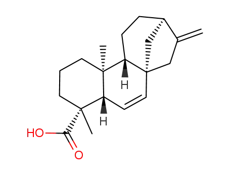 ent-kaura-6,16-dien-19-oic acid
