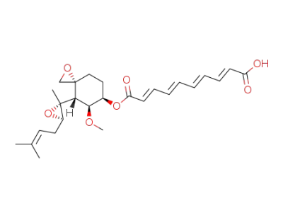 fumagillin
