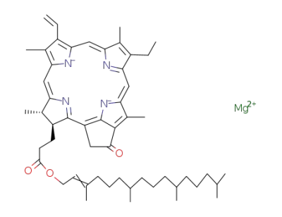 pyrochlorophyll a
